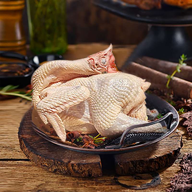 卡拉达海拔3000米散养跑山藏土鸡